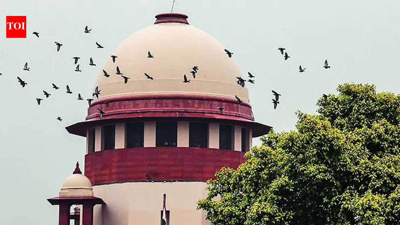 CBSE's 3-language scheme doesn't hit federalism, but will study infra constraints: SC