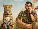 'Pati Pani Aur Woh Do' Day 13: Film breaches Rs 55 cr global mark