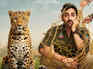 'Pati Pani Aur Woh Do' Day 13: Film breaches Rs 55 cr global mark