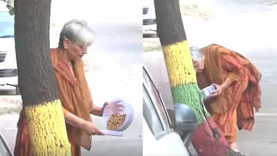  Twisha Sharma’s mother-in-law seen feeding stray dogs after HC quashes anticipatory bail; CBI custody looms