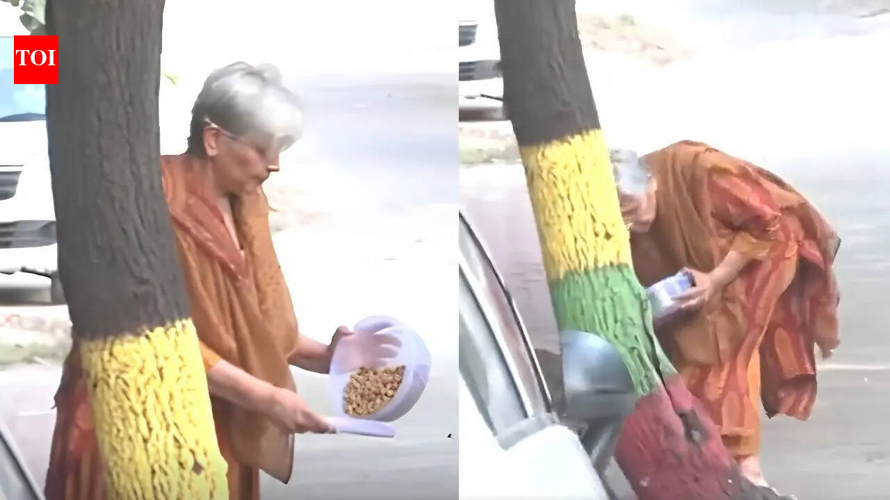 Watch: Twisha Sharma’s mother-in-law seen feeding stray dogs after HC quashes anticipatory bail; CBI custody looms