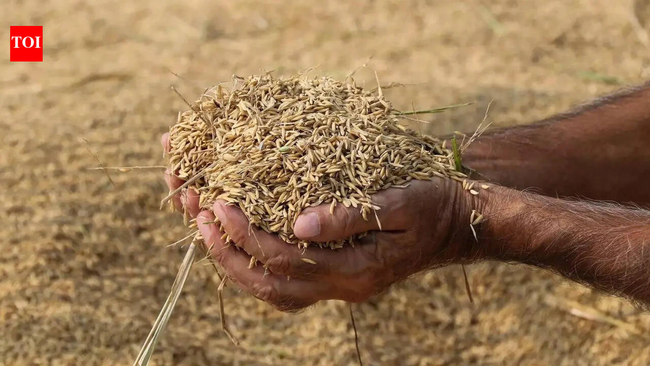 2025-26 foodgrain production estimated at record 376 million tonne