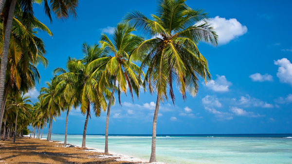 The Indian destinations emerging as alternatives to Bali and Maldives