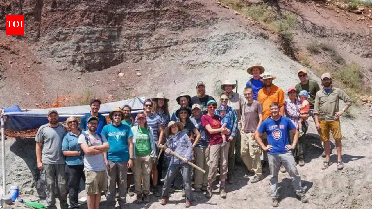 Scientists just found a 'fake dinosaur', walked on two legs like a dinosaur 212 million years ago