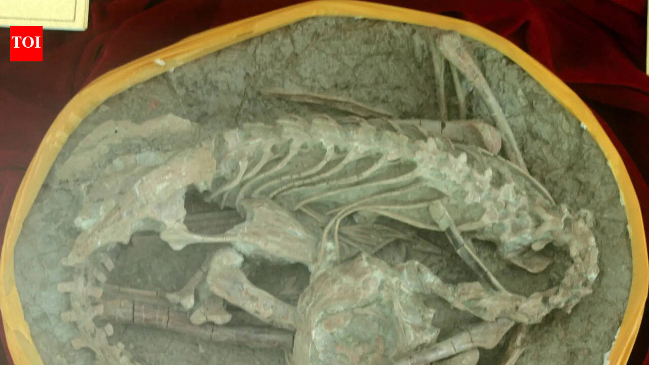 Dinosaurs were found frozen mid-sleep after a prehistoric catastrophic ash burial similar to Pompeii