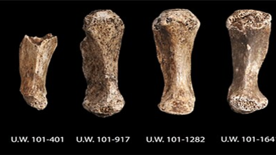 In 2013, cavers in South Africa uncovered Homo Naledi, a hidden branch of the human family