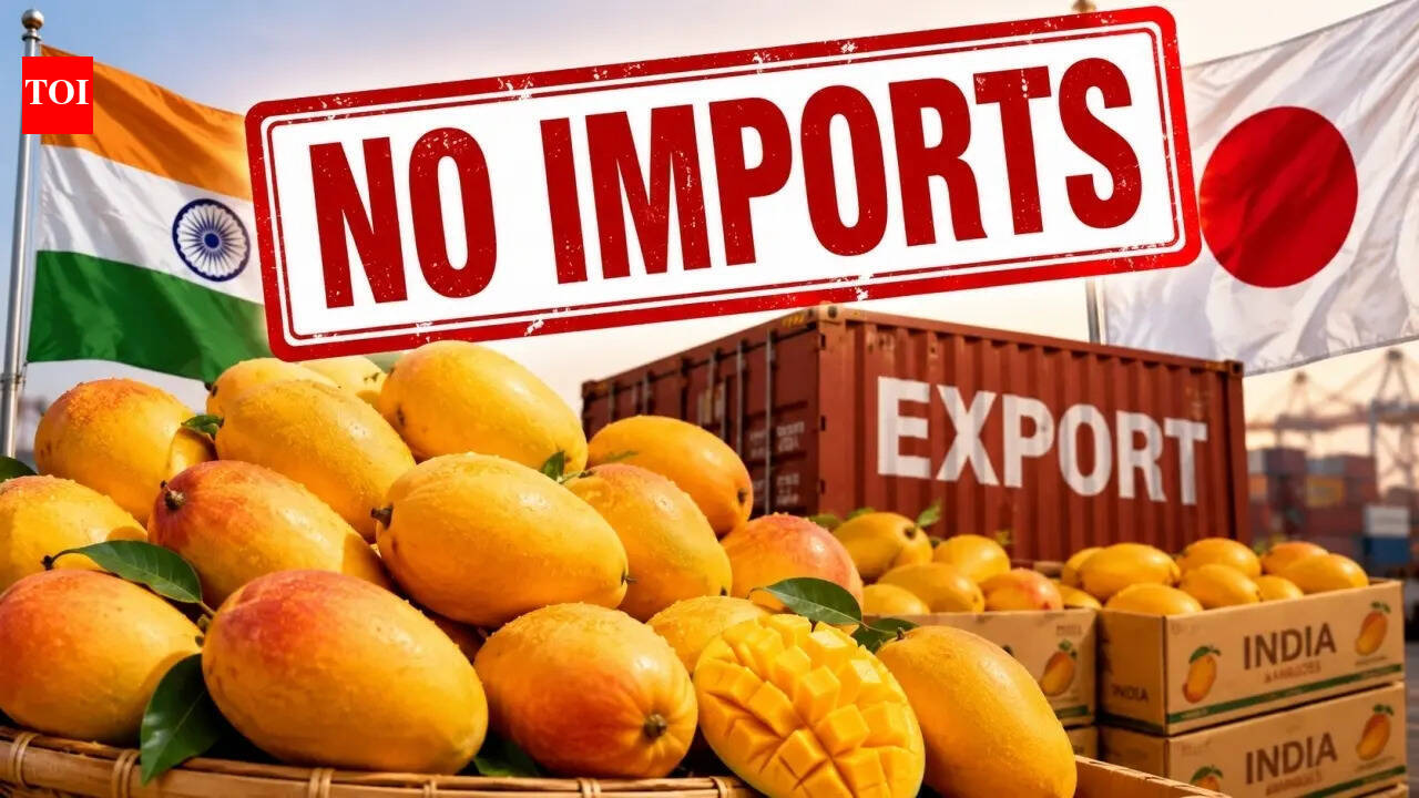 Setback for mango exports! Why Japan stopped imports of Kesar, Alphonso, Langra &amp; more