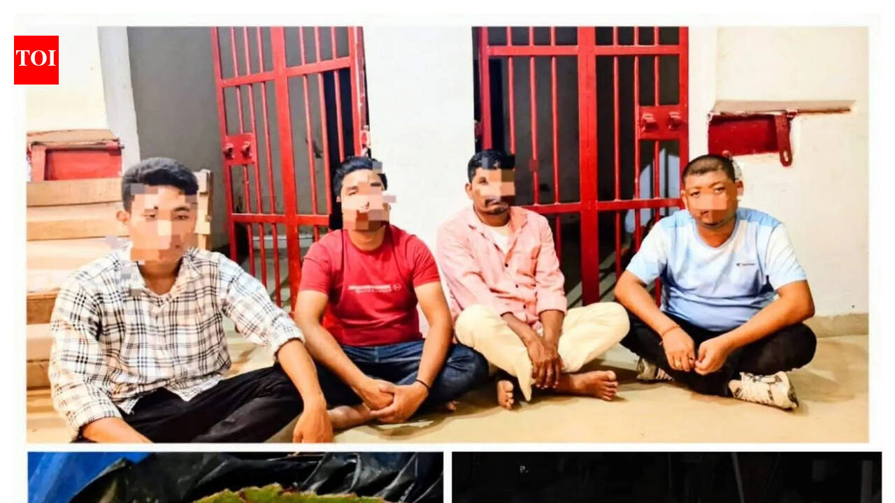 Rare tokay gecko rescued in Dhemaji, 4 held in interstate smuggling racket