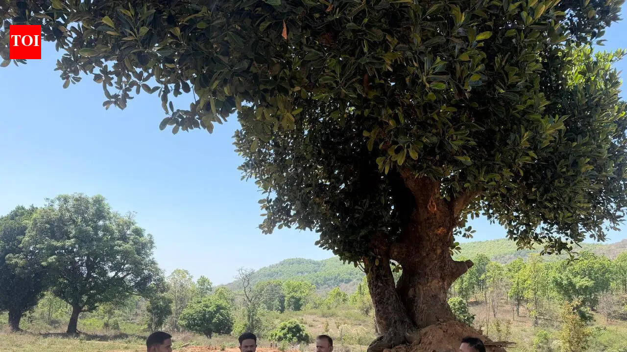 PTR’s Jaigeer Pahar turns into thriving wildlife habitat post human relocation