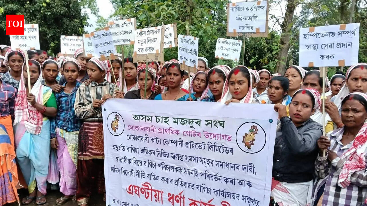 Tea workers protest across 5 Dibrugarh estates over pending demands