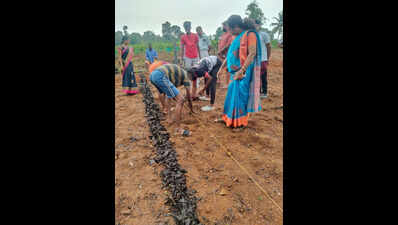 Youths launch Krishi Kshetra Pathashala to preserve traditional agricultural practices