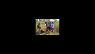 3 arrested for tying TPWODL workers to electric pole