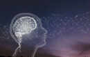 2 Misunderstood traits of high intelligence  