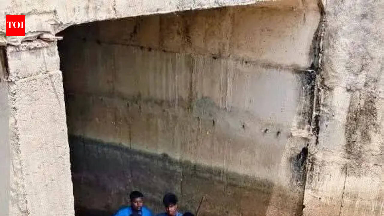 Two youths die as car falls off bridge
