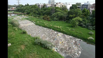 Authorities dispute sewage discharge responsibility