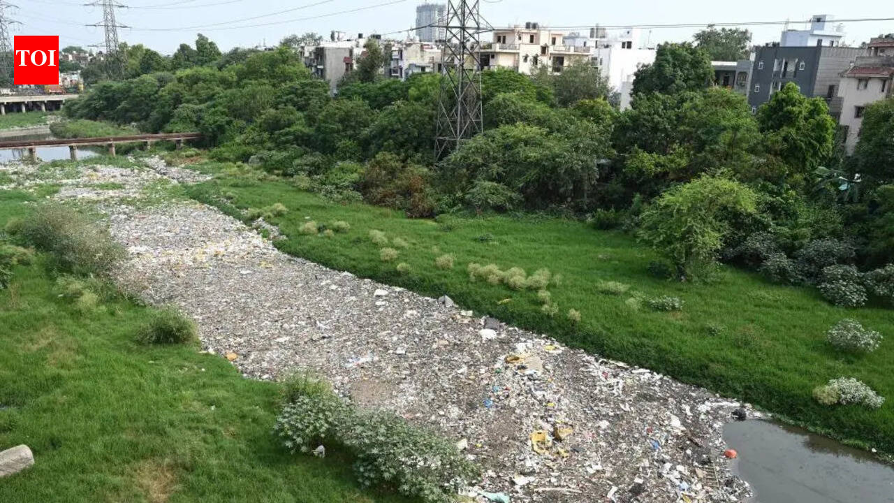 Authorities dispute sewage discharge responsibility