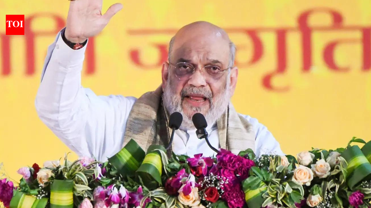 Amit Shah says panel on ‘artificial’ demographic change will examine need for new law