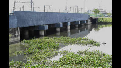 Velachery residents oppose eco park project along six-vent culvert