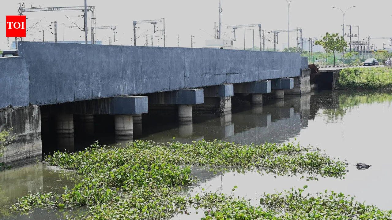 Velachery residents oppose eco park project along six-vent culvert
