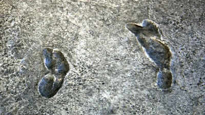 In 1976, an excavation in Tanzania unearthed ancient footprints that changed what we know about how we walk