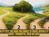 Personality test: The road you choose to travel reveals if you're direct, thoughtful, bold or calm