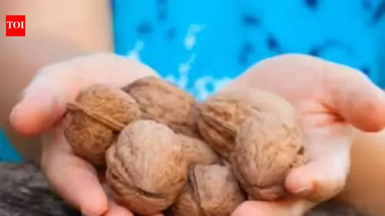 Walnut importer arrested for Rs 24.4cr duty evasion