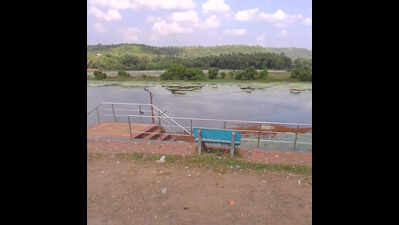 PIL in HC objecting to works at Pat Wetland in Sindhudurg