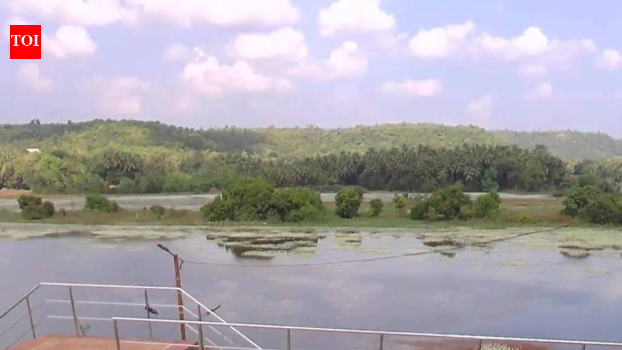 PIL in HC objecting to works at Pat Wetland in Sindhudurg