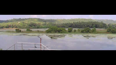 PIL in HC objecting to works at Pat Wetland in Sindhudurg