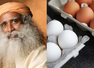 "Egg is the worst thing you can..." Sadhguru shares 3 traditional South Indian vegetarian dishes rich in protein and vitamin B12