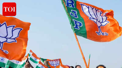 Uttar Pradesh BJP announces five more district presidents