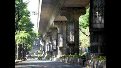 Rain risk: 890 trees shadow Bengaluru Metro tracks, 100 too close for comfort