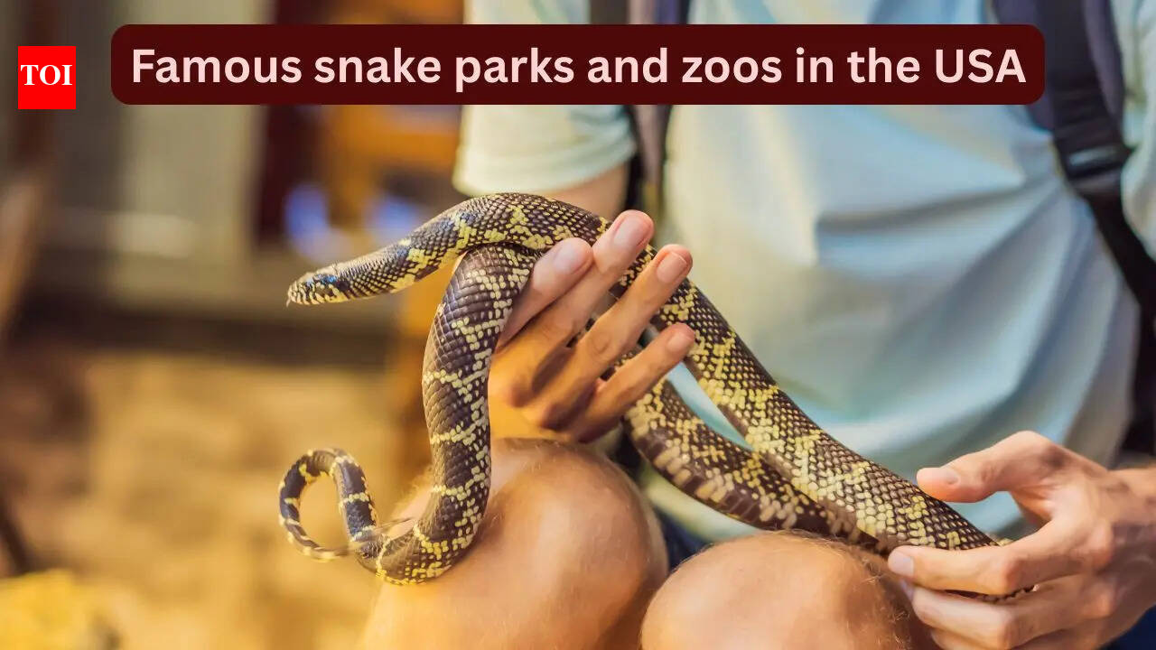 10 famous snake parks and zoos in the USA every wildlife traveller should visit and how to reach here