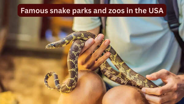 10 famous snake parks and zoos in the USA every wildlife traveller should visit and how to reach here