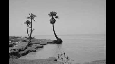 The unbuilt protection wall and the death of Hooghly estuary islands