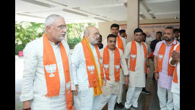 It is govt’s resolve to remove every illegal immigrant: Amit Shah