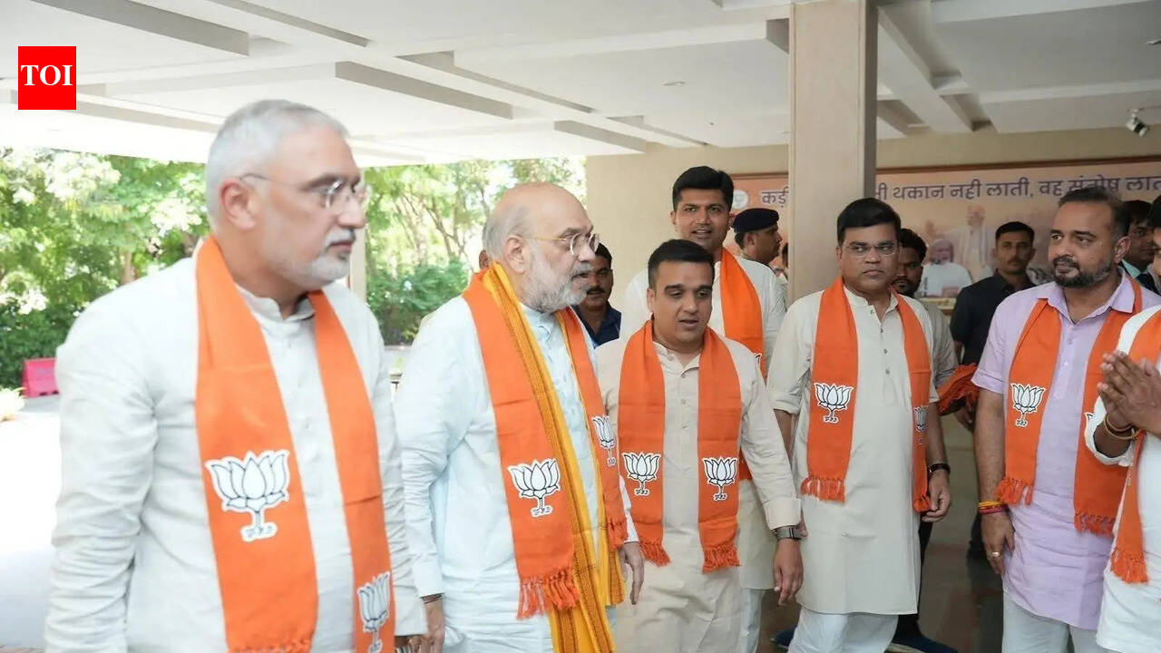 It is govt’s resolve to remove every illegal immigrant: Amit Shah