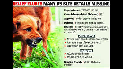 Only 3 get dog-bite compensation in Pkl, 2.5 years after HC norms