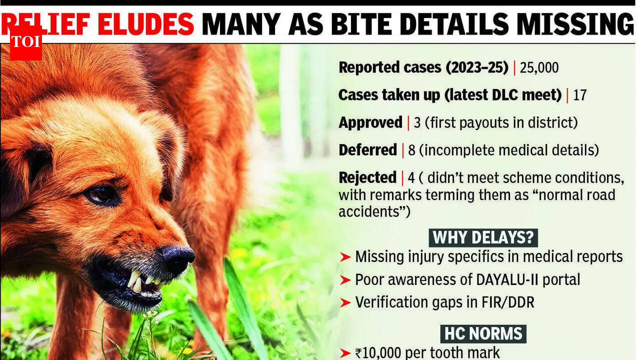 Only 3 get dog-bite compensation in Pkl, 2.5 years after HC norms