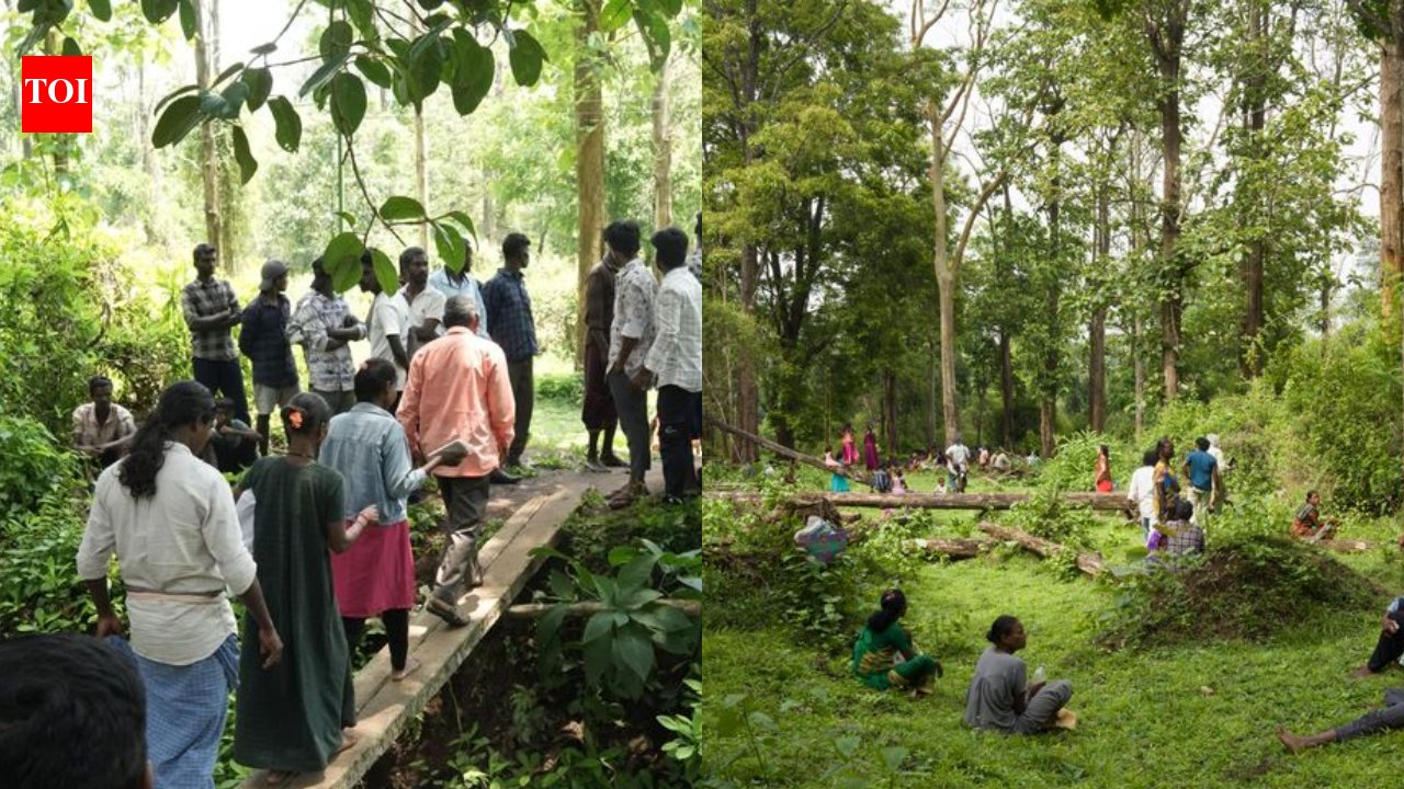 Adivasis demand halt to tiger safari push, evictions in south India forests