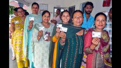 80% turnout in 2nd phase of Himachal panchayat polls