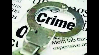 Elderly woman assaulted by neighbours in Pune after argument about pet cats