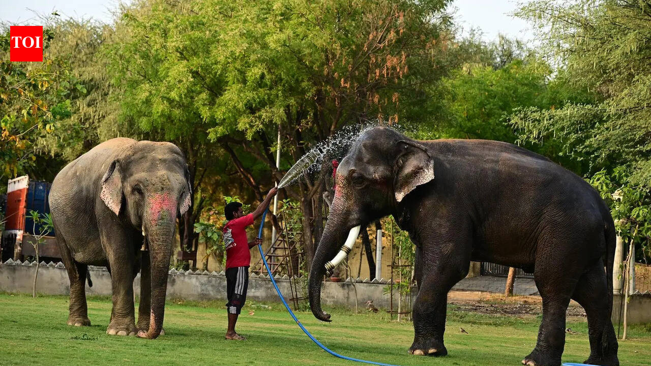 In hottest day of season, city burns at 45.4°C