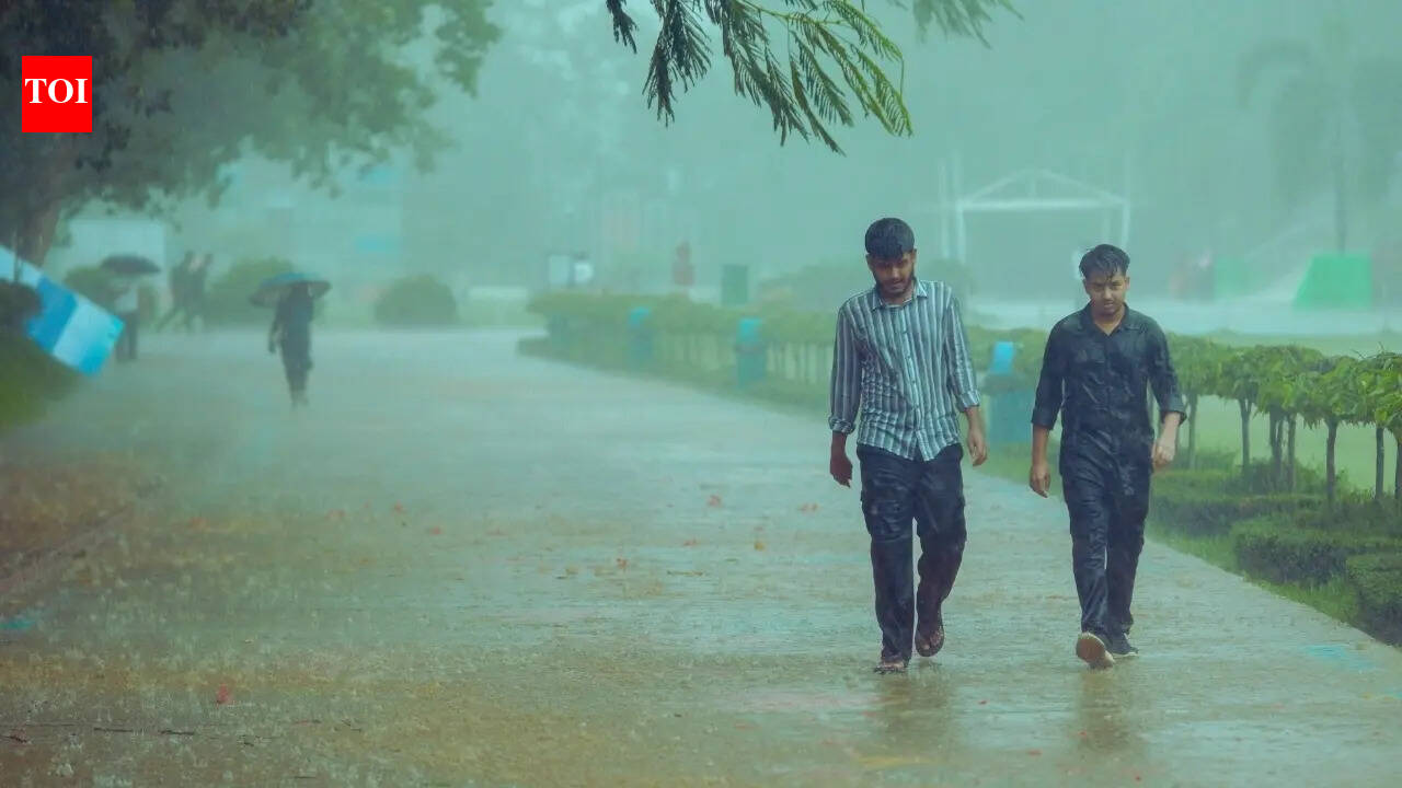 Weather Update: IMD warns of severe thunderstorms, hailstorms and travel disruptions across India; dust storms and hail in Delhi predicted | - The Times of India