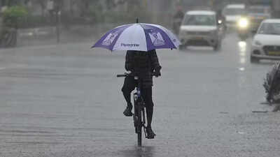 IMD forecasts heavy rain in several districts of Tamil Nadu after peak summer spell