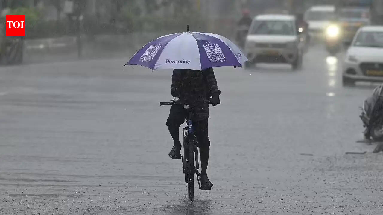 IMD forecasts heavy rain in several districts of Tamil Nadu after peak summer spell