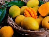 Why Japan banned Indian mangoes: Here are the affected varieties