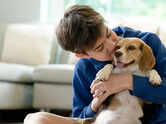 Not just cute pets: 5 dog breeds that quietly protect their families