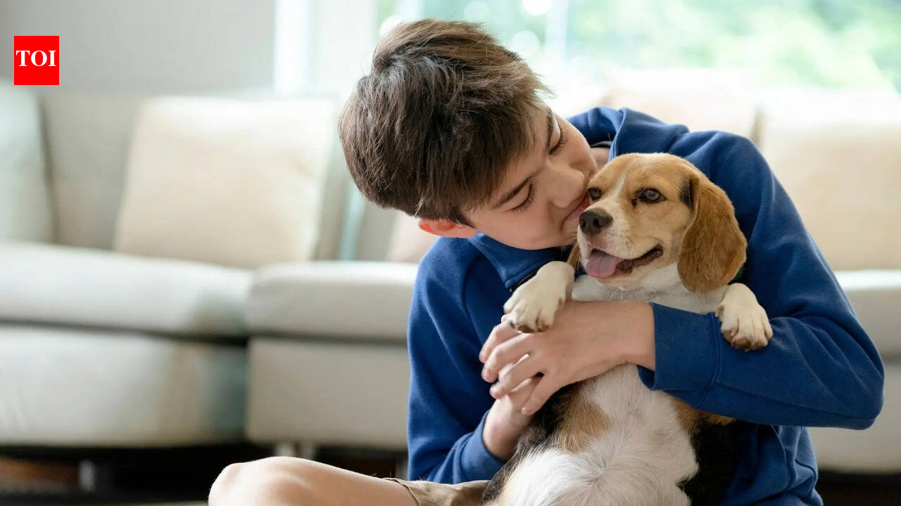 Not just cute pets: 5 dog breeds that quietly protect their families