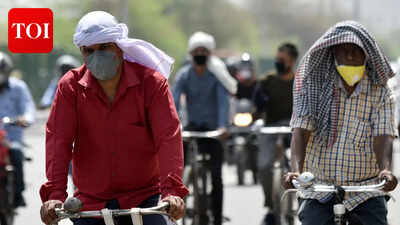 Rajasthan sizzles, IMD issues thunderstorm alert for Rajasthan amid intense heat wave conditions